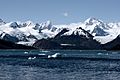 Ainsworth bay and Marinelli Glacier