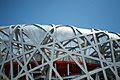 Beijing Birds Nest Closeup