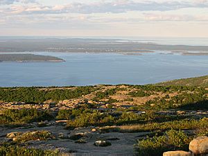 Cadillac mtn summit view