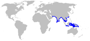 Carcharhinus hemiodon rangemap.png