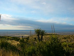 Carlsbad caverns entrance