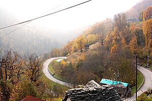 Cerentino windy road