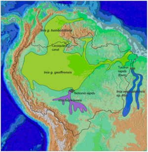 Cetacea range map Amazon River Dolphin.PNG