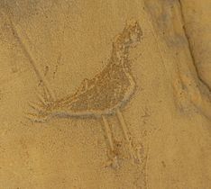 Chaco-Pictograph1