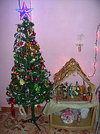 Christmas Crib