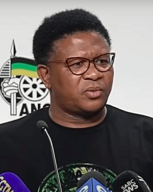 Fikile Mbalula.png