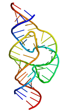 Full length hammerhead ribozyme