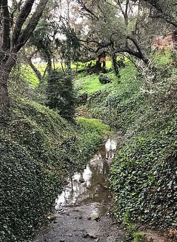 Glen Echo Creek Oakland.jpg