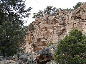 Hickison Petroglyph Recreation Area.jpg