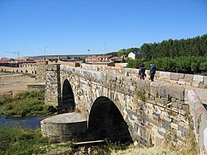 Hospital de Órbigo (496110133)