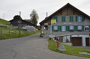 Kanton Bern - Wachseldorn