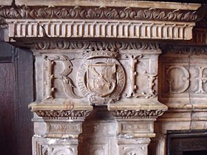 Kenilworth fireplace