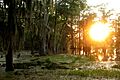 Lake Martin LA USA sunset