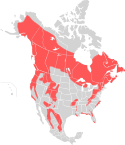 American black bear range