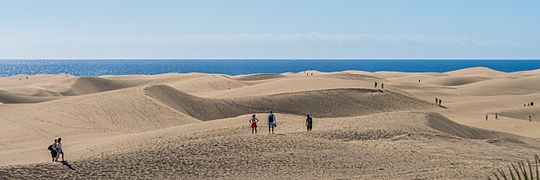 Maspalomas EM1B9192 (27987770619)