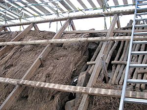 Moirlanich Longhouse thatched roof