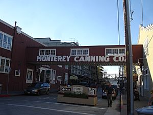 MontereyCanneryRow