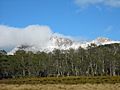 Mount Ossa From Pelion Plains