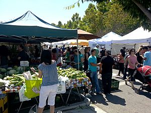 Mountain View Farmers Market