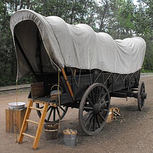 NarrowCoveredWagon FEP