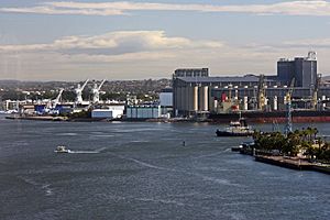 Newcastle Harbour from the Tower