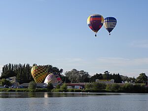 Northampton Balloon Festival (7813796336)