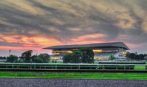 Race track - panoramio