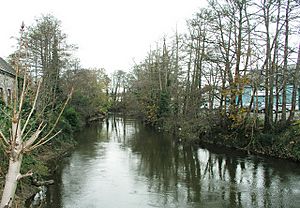 River Ely, Cardiff