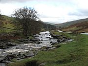 River Wharfe. - geograph.org.uk - 285600