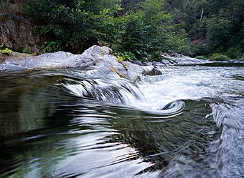 River eddy (20501969791).jpg