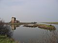 Saline di Comacchio