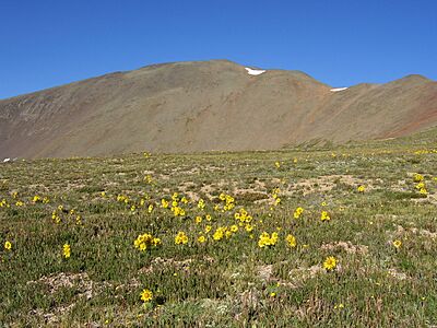 San Luis Peak, San Juan Mountains, Saguache County, Colorado, USA 01