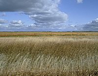 Sand Lake National Wildlife Refuge.jpg