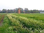 Shefford windmill.jpg