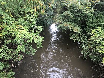 Skokie River.jpg