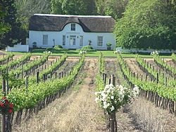 Stellenbosch-region