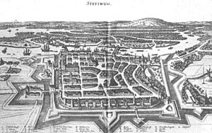 Stettin merian