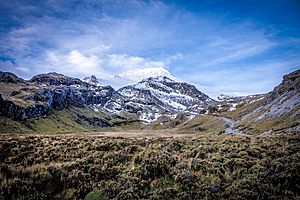 Volcan Cayambe 2017