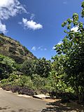 Waimea Valley