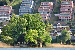 Zürichsee - Richterswil IMG 2665