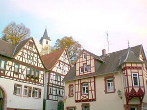 Zwingenberg trabfakaj domoj 1