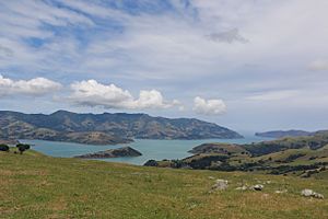 Akaroa Harbour 27