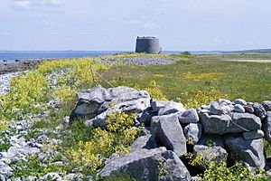 AughinishTower