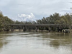 Barmah Bridge (2021)