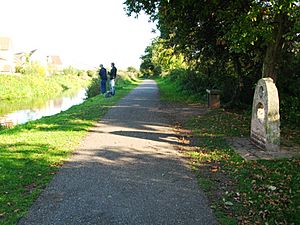 Bathpool - Canal and Neptune