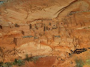 Betatakin Cliff Dwellings