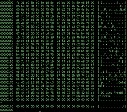 Binary executable file2