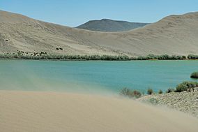 Bruneau sand dunes.jpg