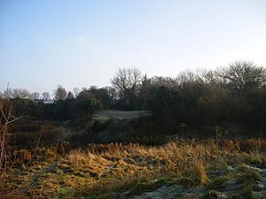 Burwell Castle mound - geograph.org.uk - 1133176