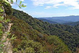 Castle Rock State Park 6.JPG